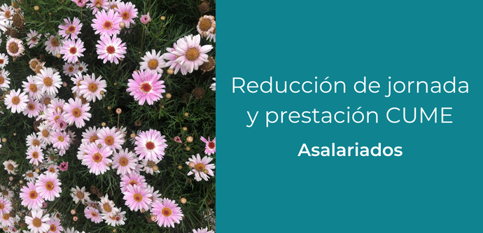 Reducción de jornada y prestación CUME Asalariados
